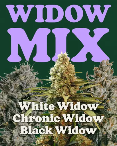 Widow Mix