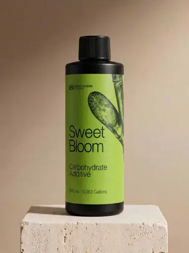 Sweet Bloom